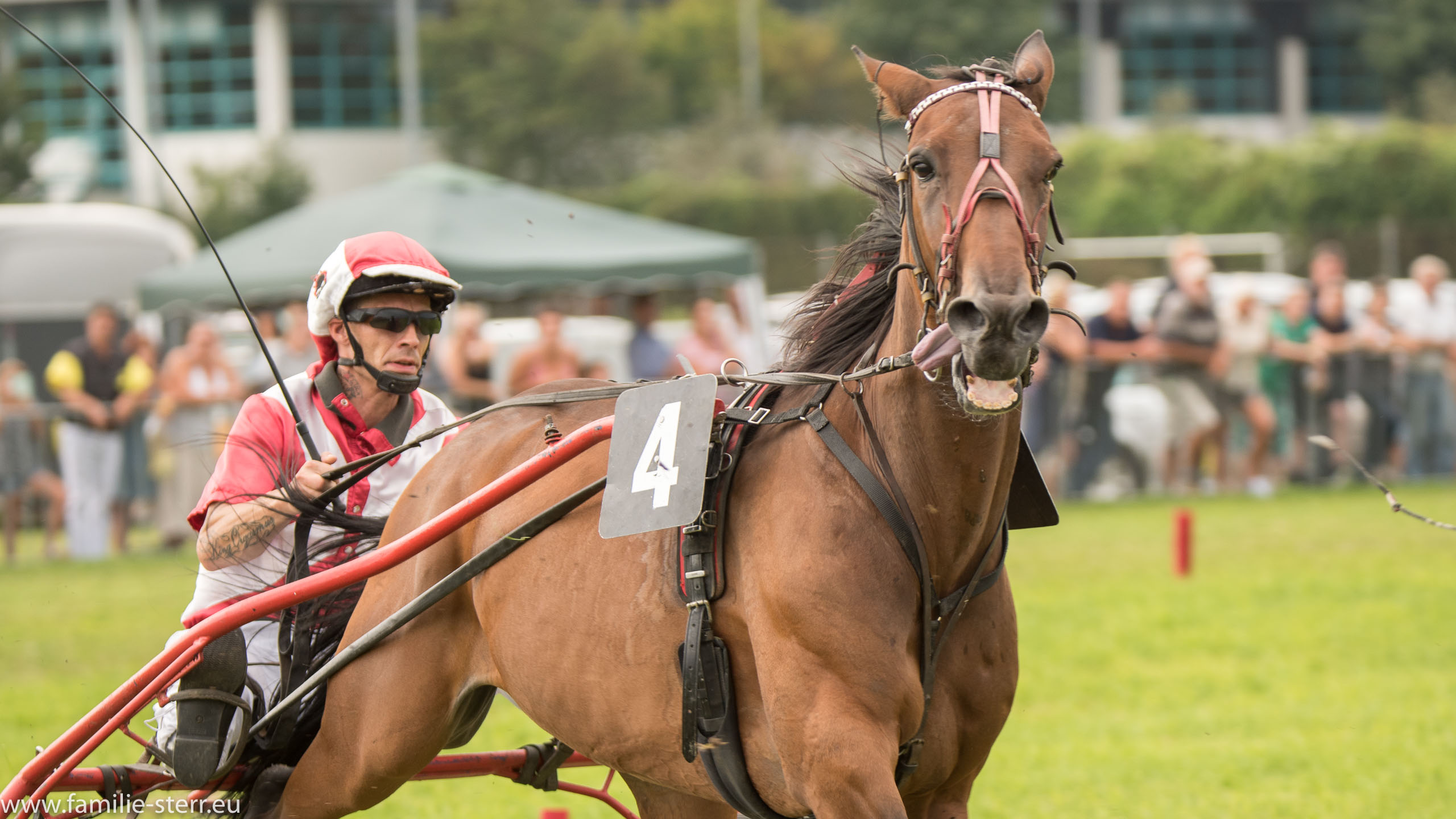 Trabrennen in Erding 2017